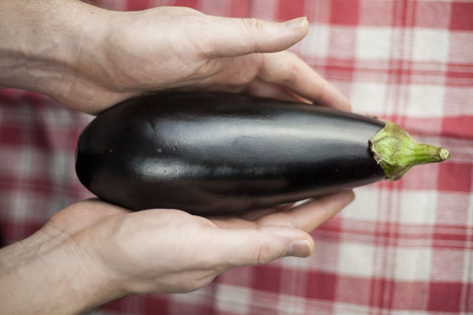 Two hands holding a dark purple raw eggplant