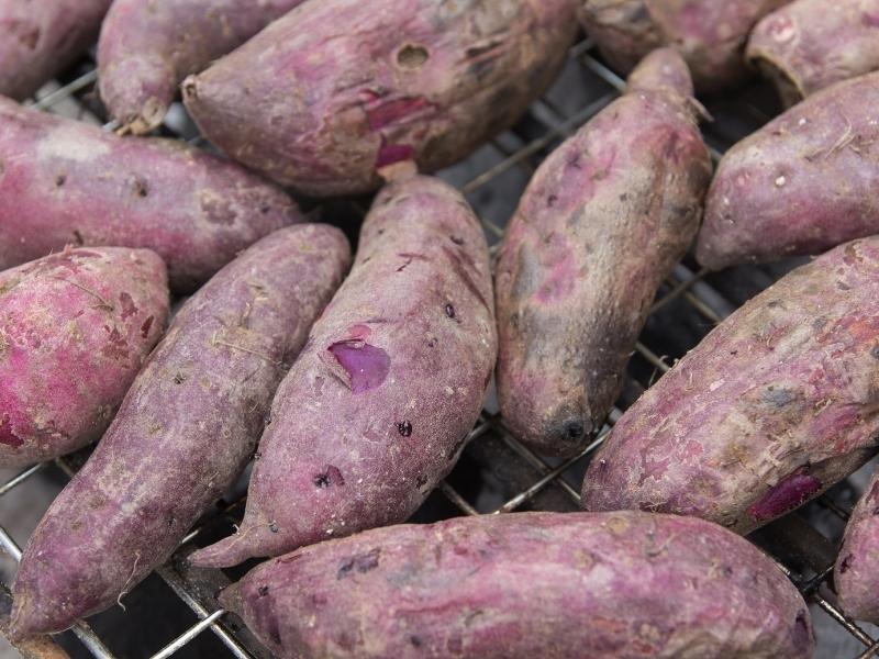 Several purple sweet potatoes clean but unpeeled on a wire rack
