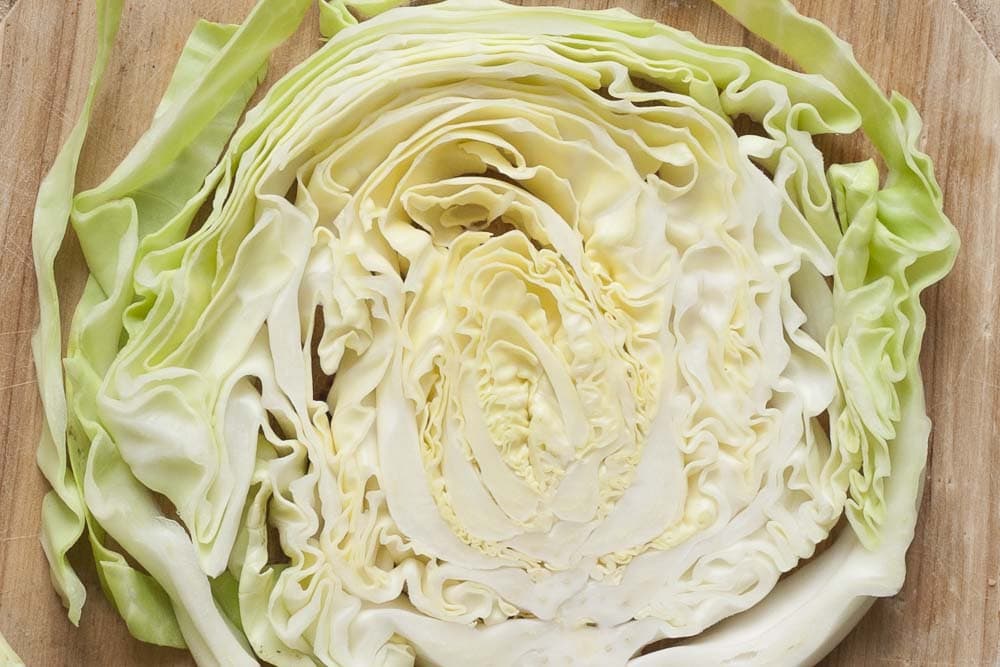 close-up of a slice of raw green cabbage