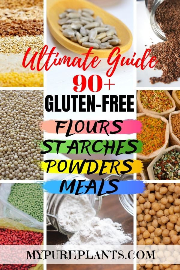 Collage of different gluten-free grains, seeds, nuts titles Gluten-free Flours Starches Powders Meals