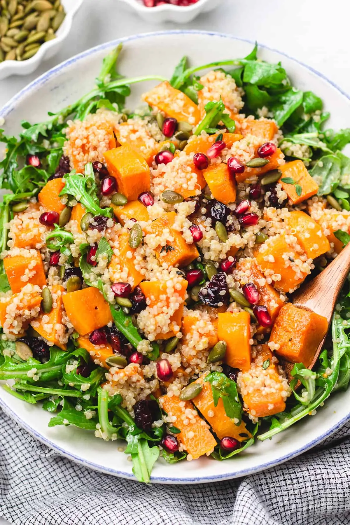 A white salad bowl with arugula topped with quinoa, pomegranate seeds, dried cranberries, pumpkin seeds and diced orange sweet potato