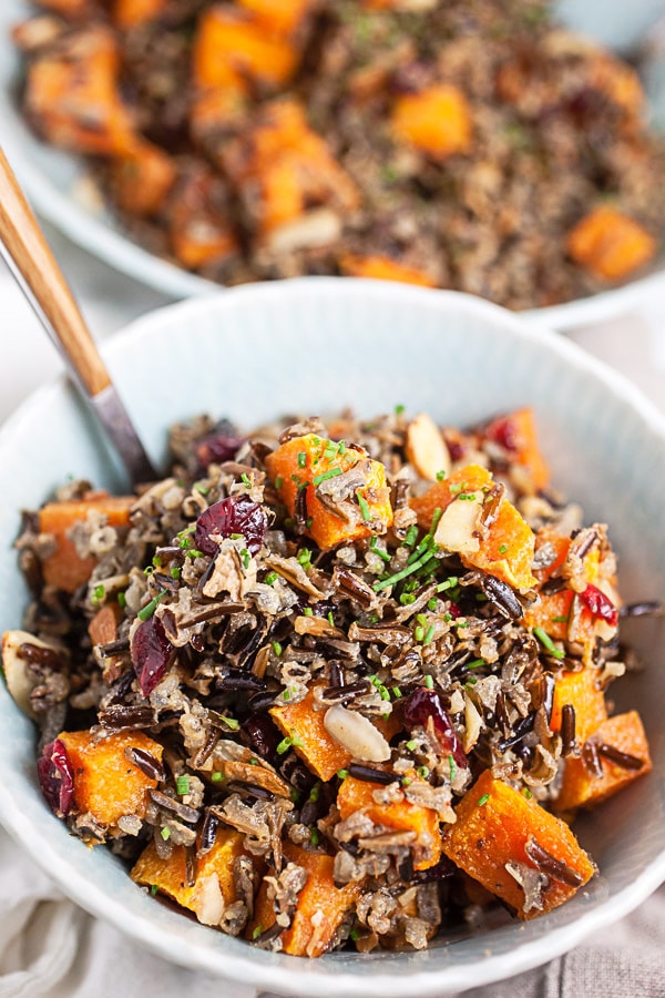 White salad bowl with diced orange sweet potatoes, wild rice, dried cranberries and chopped chives