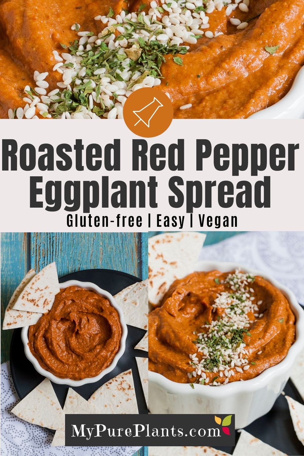 Smoky Roasted Eggplant Dip with Bell Pepper & Walnut My Pure Plants