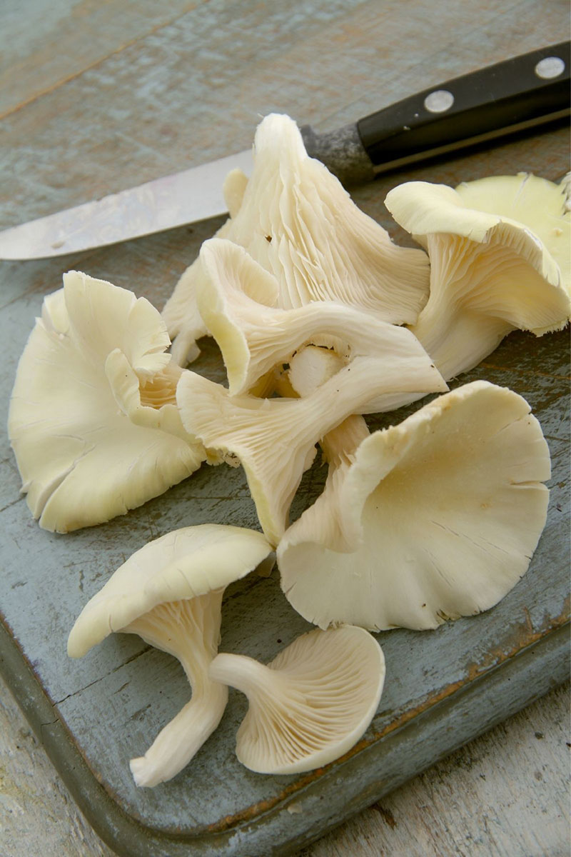 white mushrooms on a blue cutting board with a knife next to it
