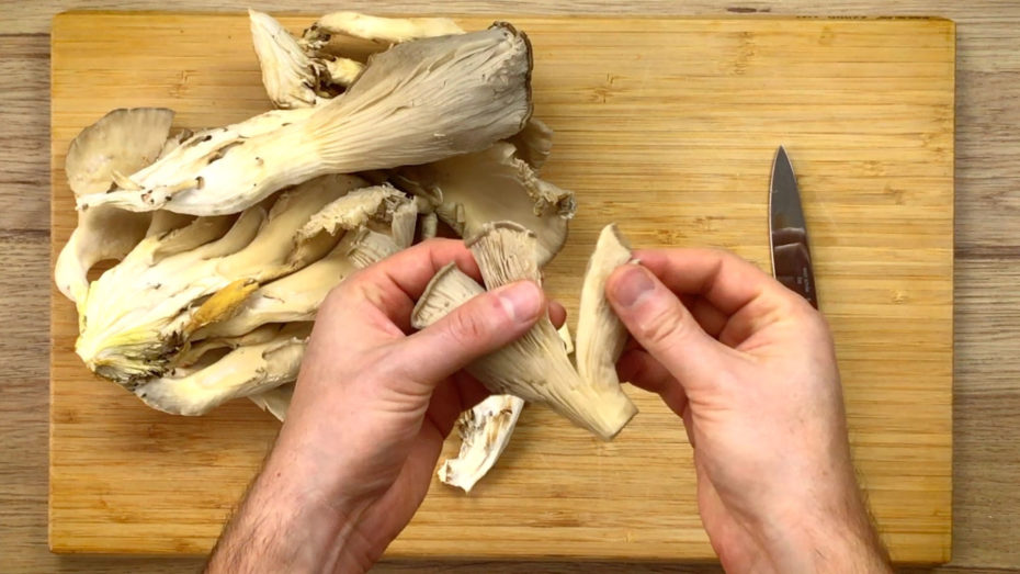 White mushrooms on a wooden cutting board. A hand is tearing apart the cap.