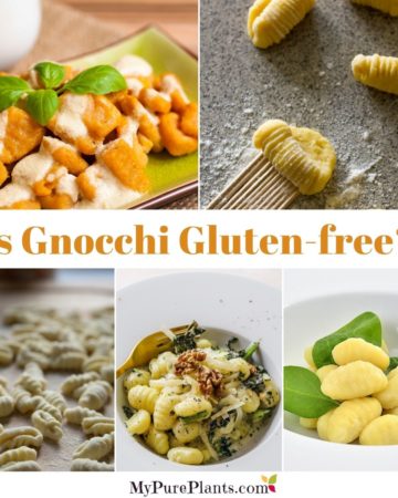 Photo collage of different gnocchis with a text in the middle saying is gnocchi gluten-free