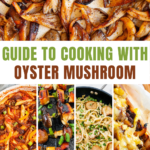 Photo collage of different recipes with a text in the middle saying Guide to Cooking with Oyster Mushrooms