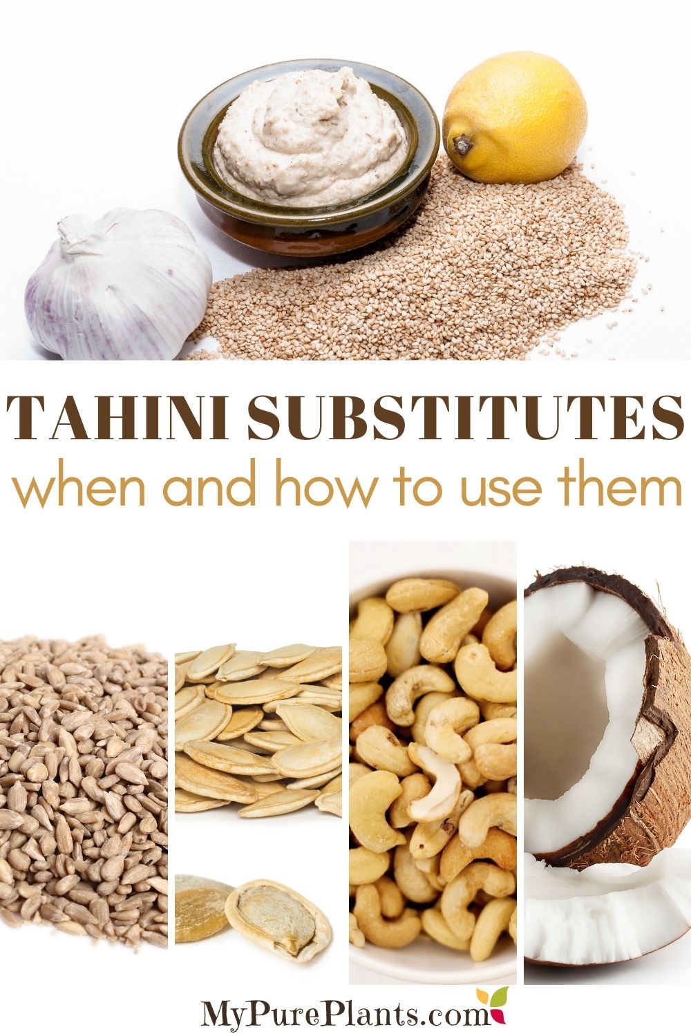 Complete List of Tahini Substitutes (When and How to Use Them) My