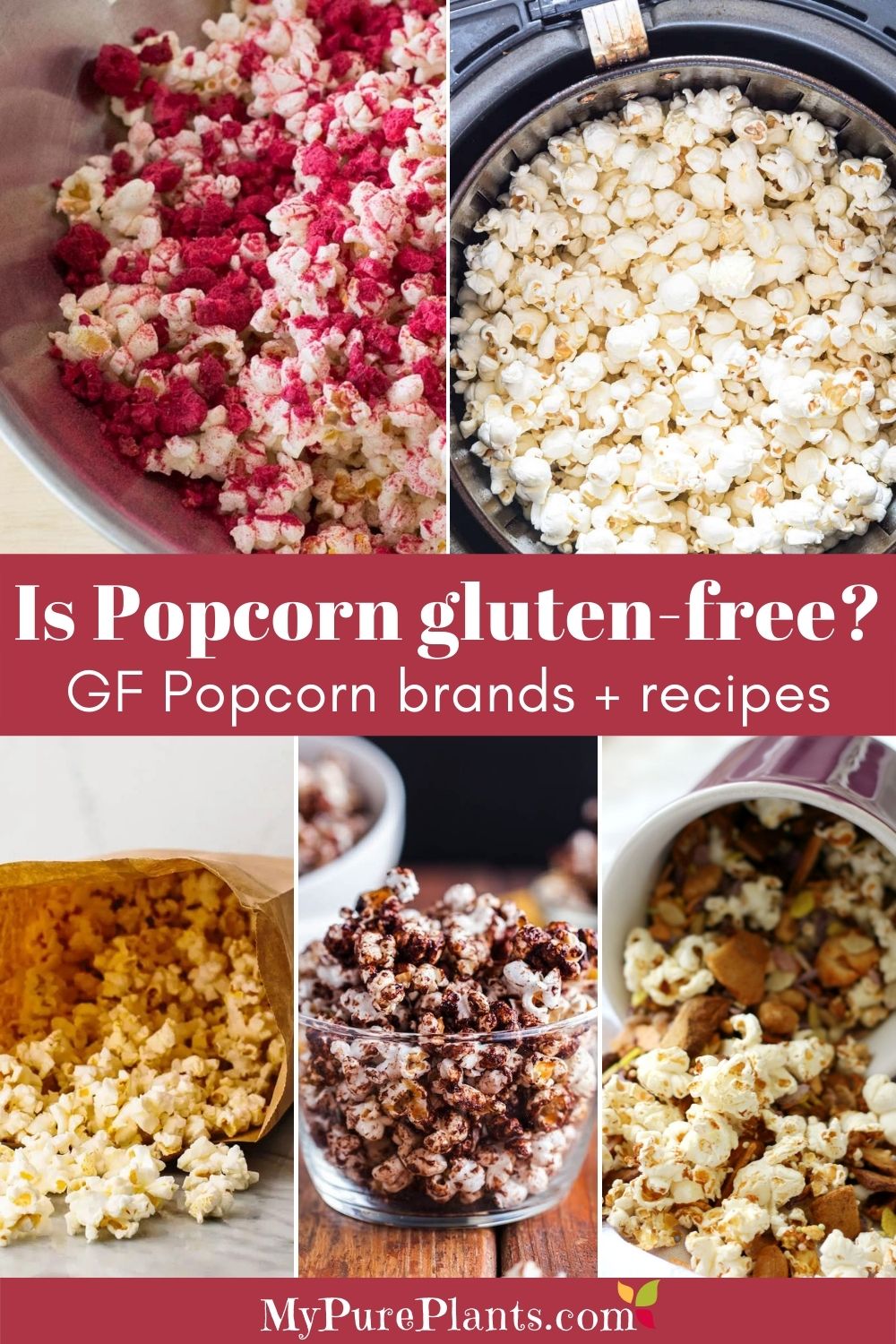 5 photo collage of different colored popcorns with an overlay text saying Is popcorn gluten-free?