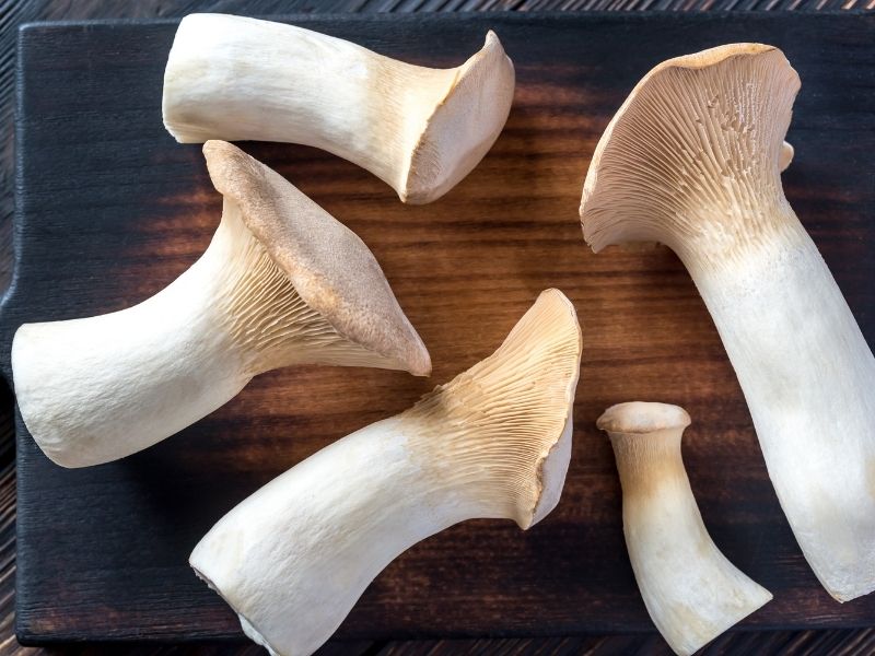 trumpet shaped king oyster mushrooms on a wooden board