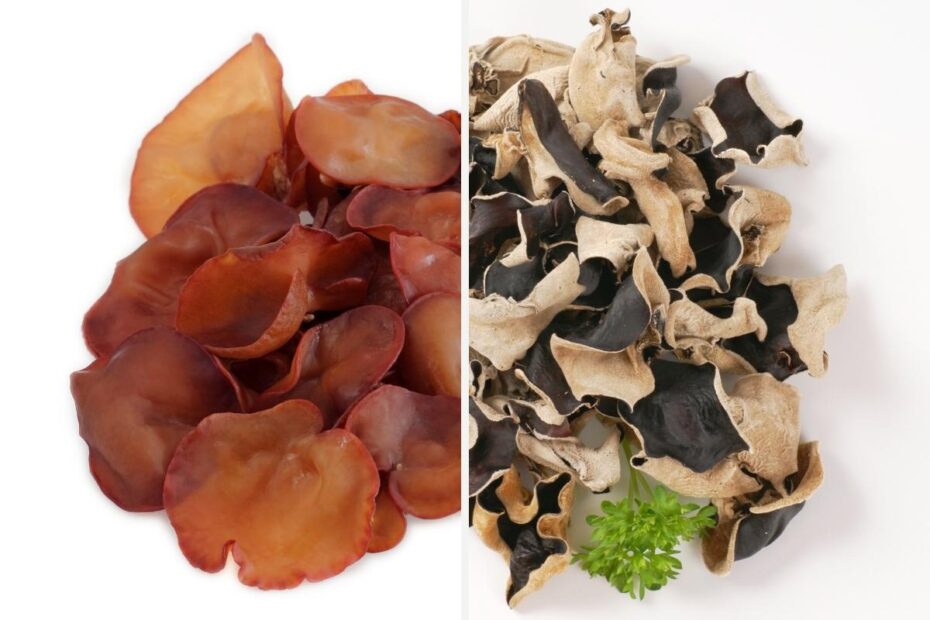 Wood Ear Mushrooms {ALL INFO} + 11 Recipes! My Pure Plants