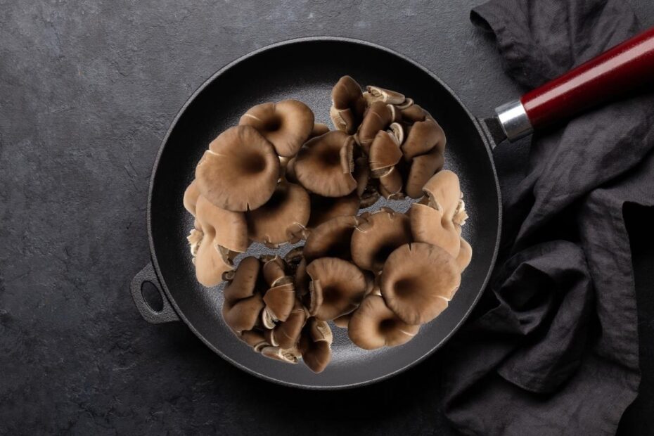Black cast iron skillet from above full of fresh oyster mushrooms