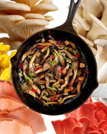A photo collage of pan-fried mushrooms in a skillet in the middle and photos of raw oyster mushrooms of all colors from brown to yellow and pink around it.