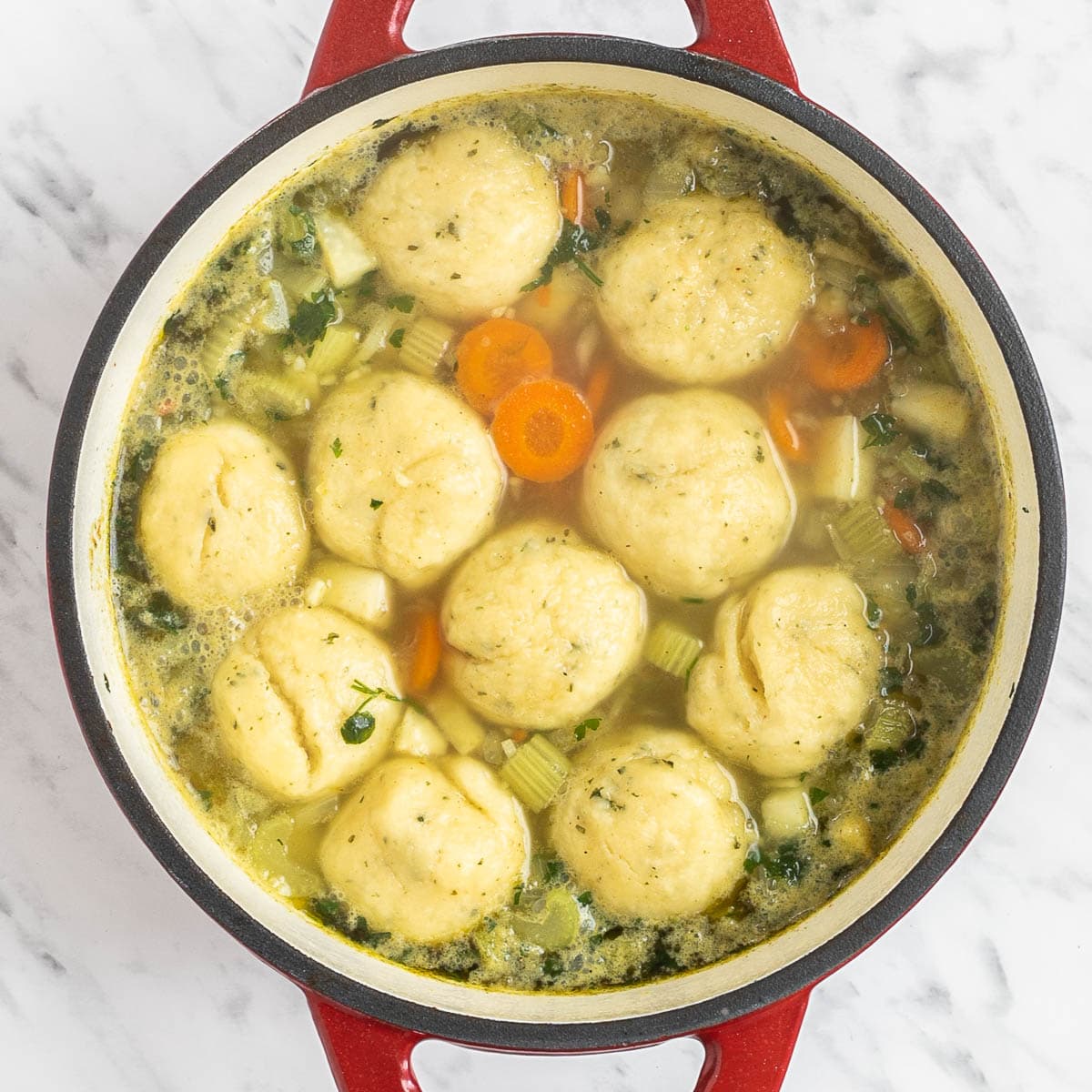 Dutch oven with dumplings, chopped veggies and green herbs in a light vegetable broth.