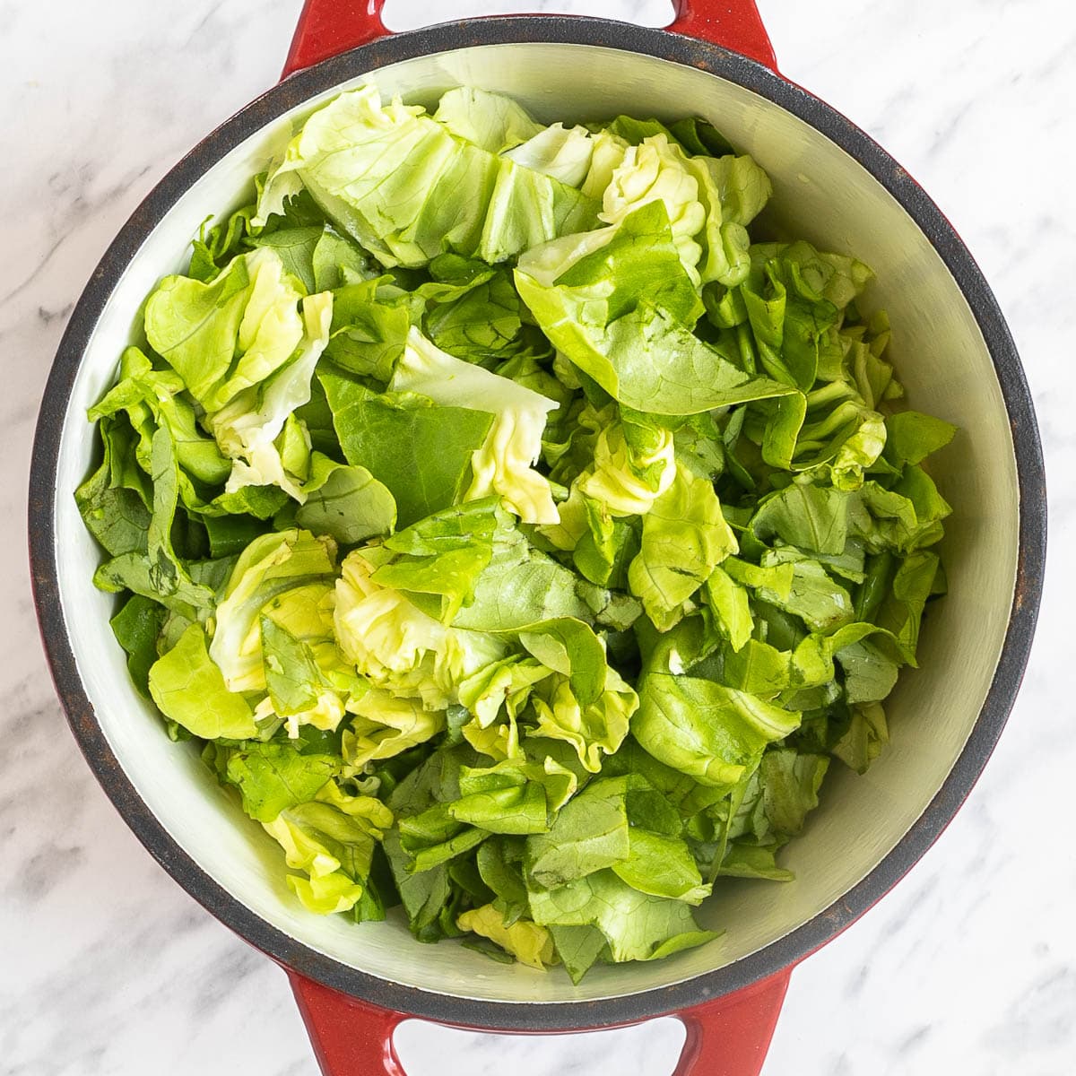 A red white enameled Dutch oven with chopped fresh green escarole.