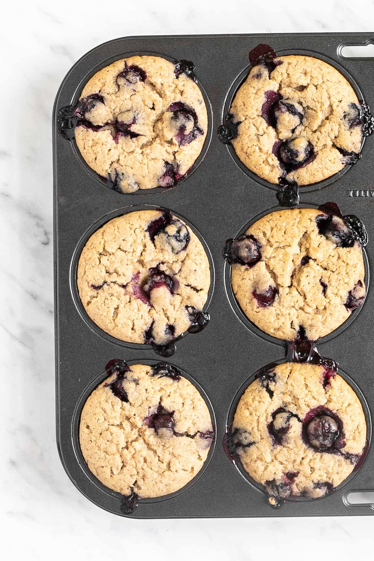 Baked blueberry muffins in a muffin tin