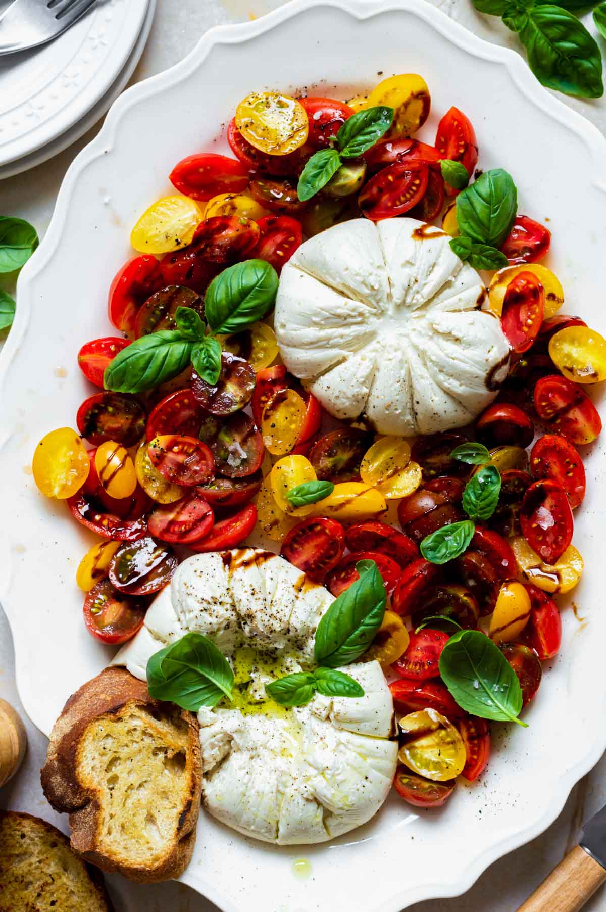 A white plate with two white burrata cheese surrounded by yellow and red roasted cherry tomatoes and fresh basil leaves on top.