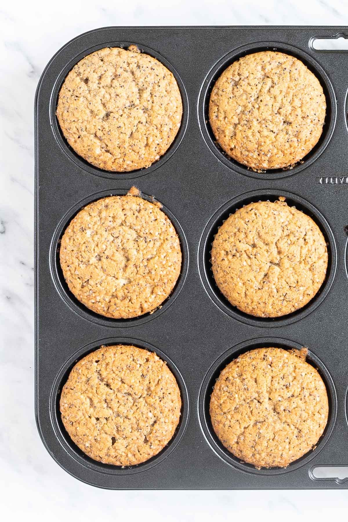 Baked lemon poppy seed muffins in a muffin tin
