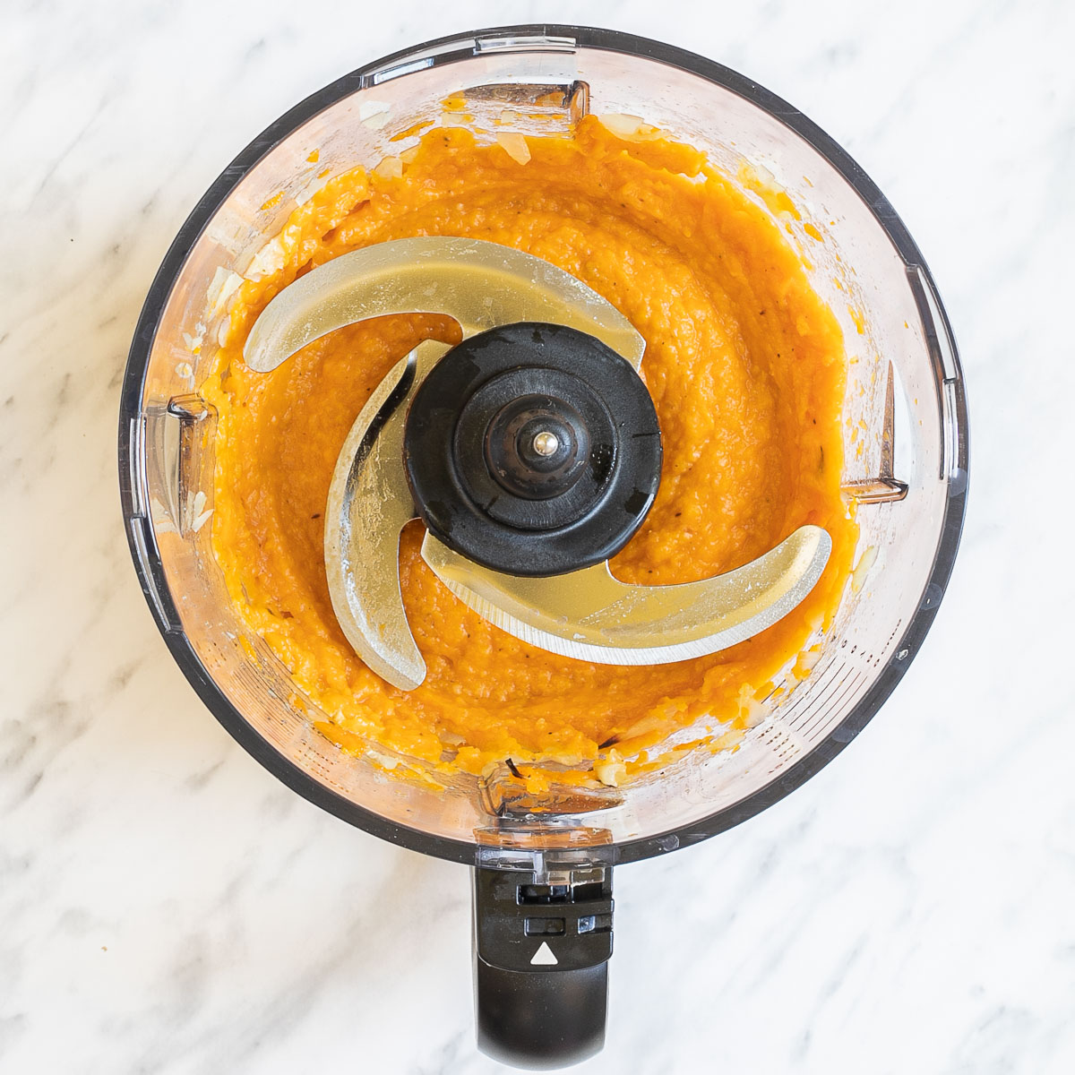 Food processor with orange puree