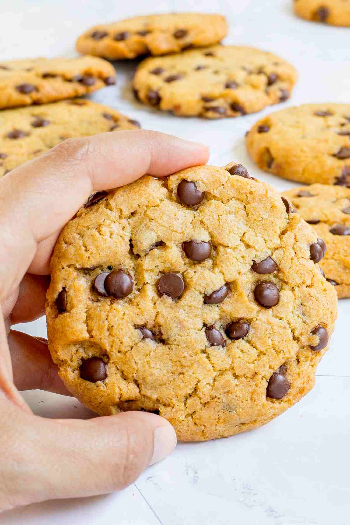 Lots of chocolate chip cookies on a white wooden surface. A hand is holding one up in the front.