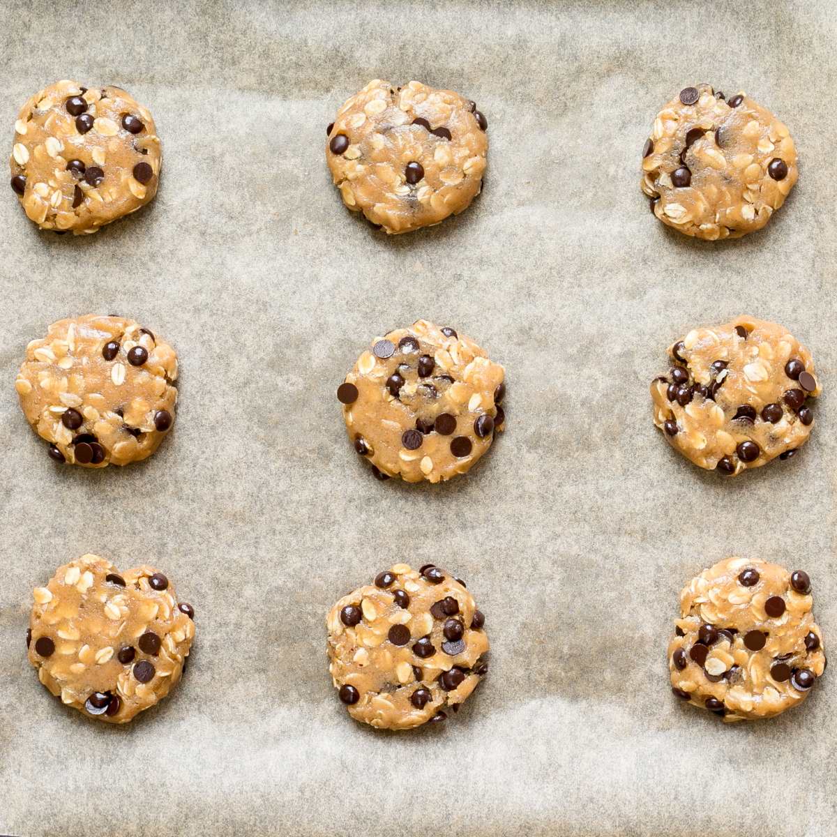Unbaked round cookie batters with oats and chocolate chips on parchment paper neatly placed away from each other.