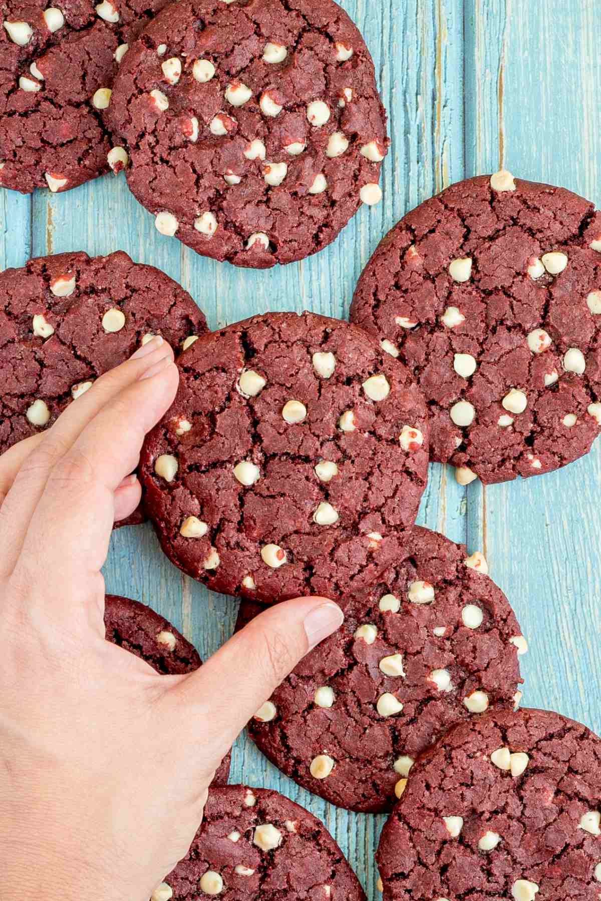Lot of red velvet cookies with white chocolate chips on a light blue wooden surface. A hand is taking one cookie from the middle.