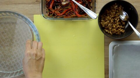 How To Use Rice Paper Without Tearing - My Pure Plants
